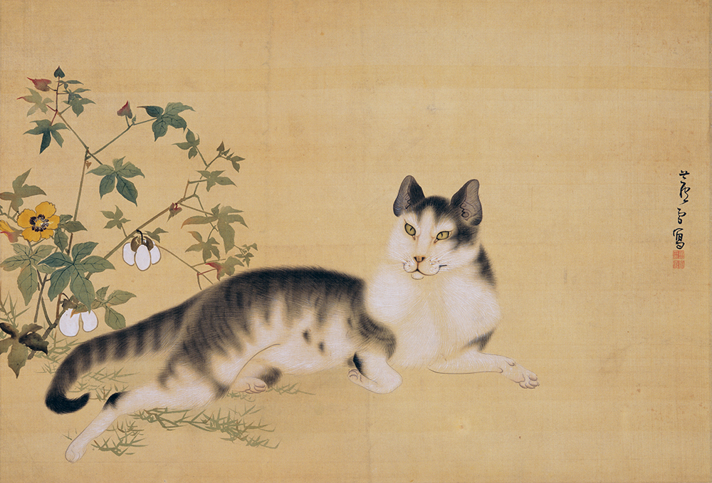 Cat and Cotton Plants. By Nagasawa Rosetsu. Edo period, 18th century.