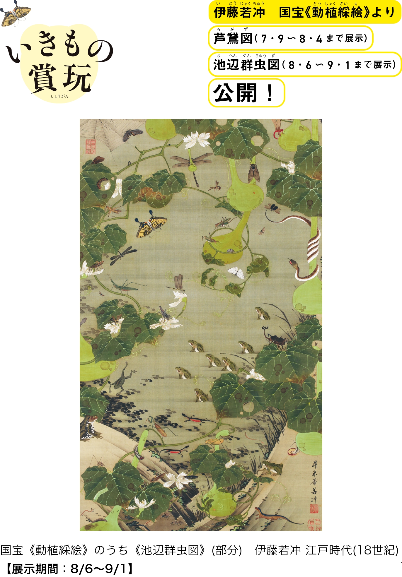 sp_スライド_3