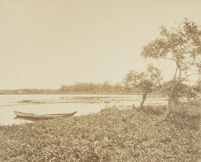 胆振国勇払郡植苗村沼ノ端御野立場より宇津野沼景の画像