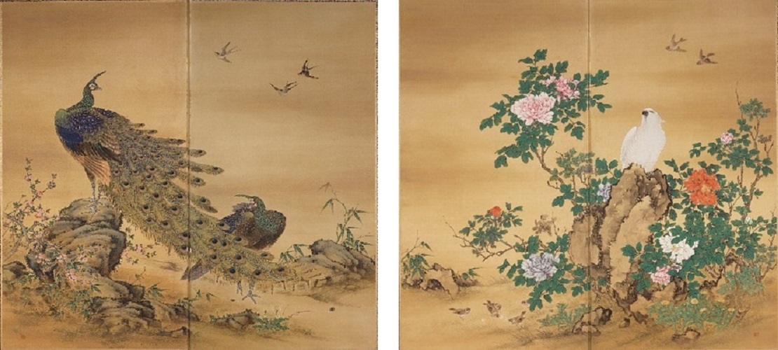 孔雀鸚鵡図の画像