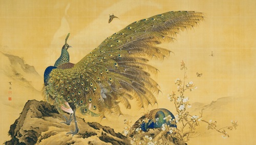 孔雀図の画像