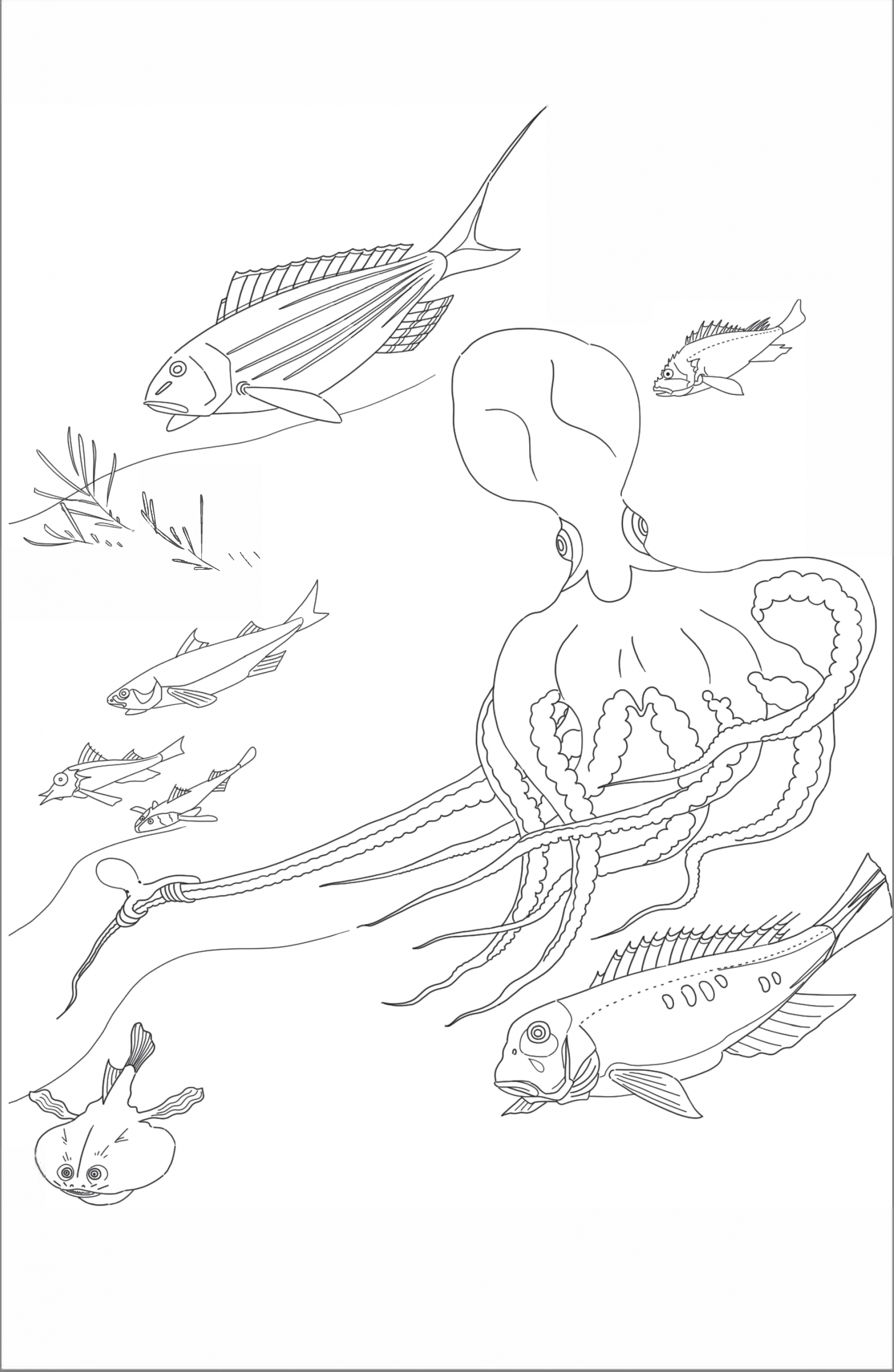 動植綵絵諸魚図のぬりえの画像